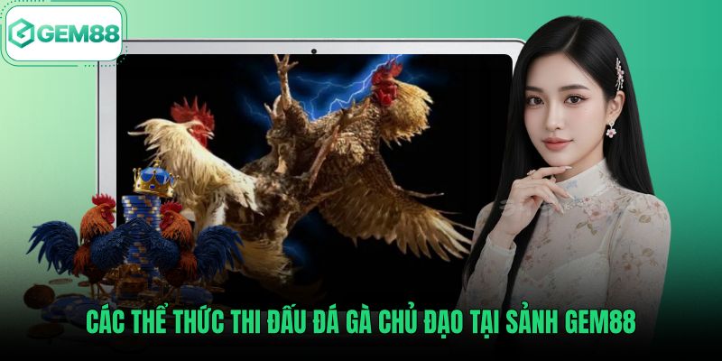 cac-the-thuc-thi-dau-da-ga-chu-dao-tai-sanh-gem88 Tổng hợp thể thức thi đấu đá gà Gem88 kịch tính