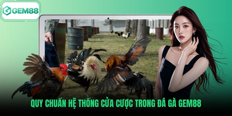 quy-chuan-he-thong-cua-cuoc-trong-da-ga-gem88 Quy tắc phân bổ ba cửa cược tại đá gà Gem88