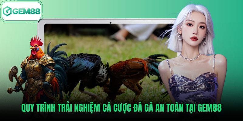 quy-trinh-trai-nghiem-ca-cuoc-da-ga-an-toan-tai-gem88 Quy trình đặt vé cược đá gà Gem88 an toàn chi tiết
